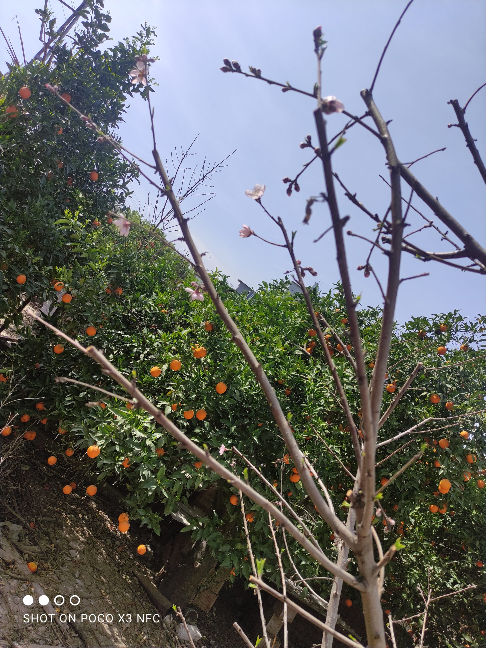Beslediğin Şeyi Büyütürsün