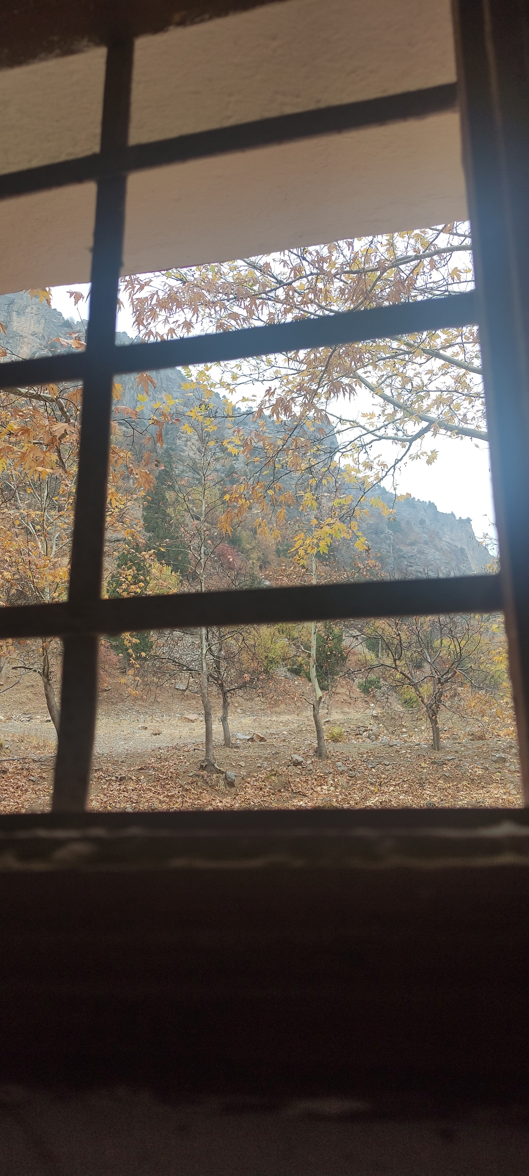 Huzursuz kadın!