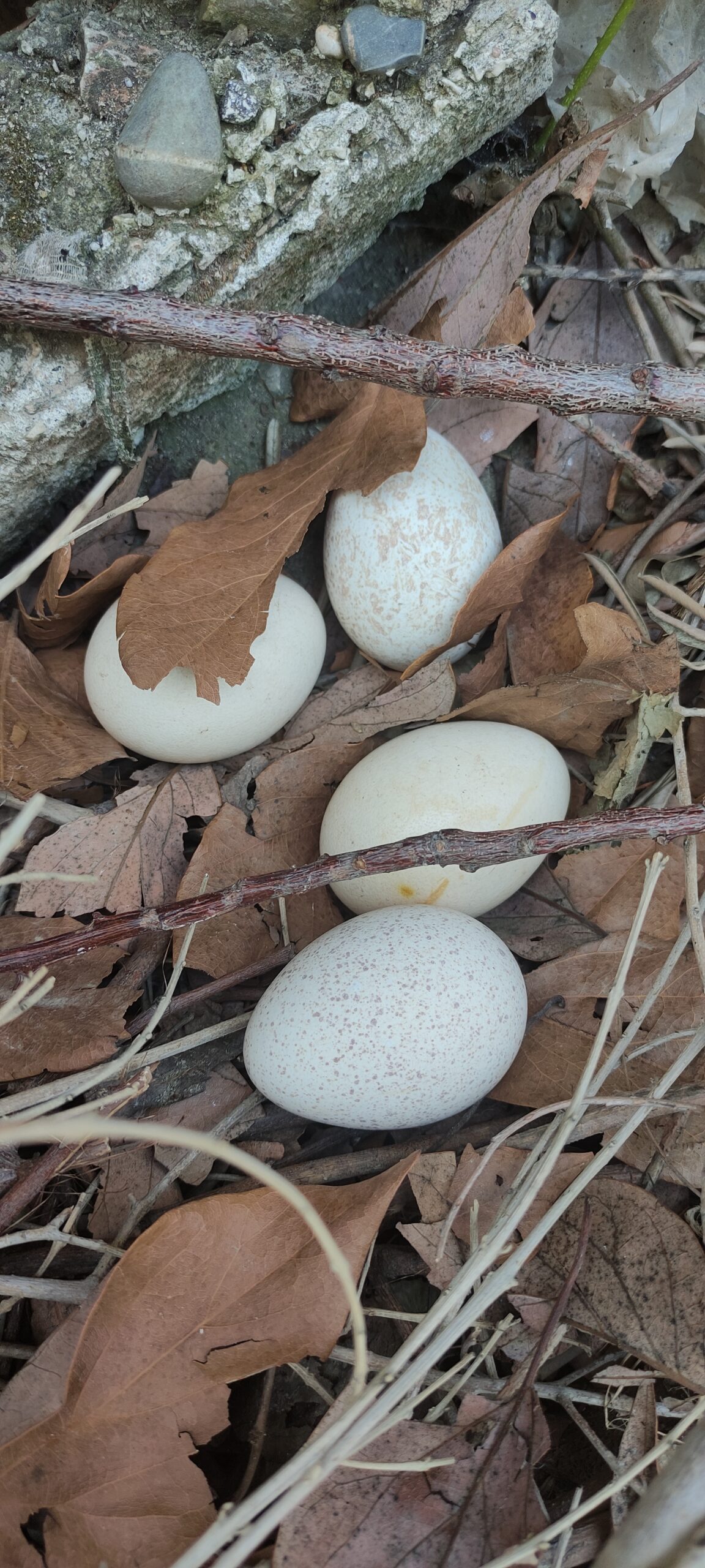 Sen bu kadar değersiz misin!!!