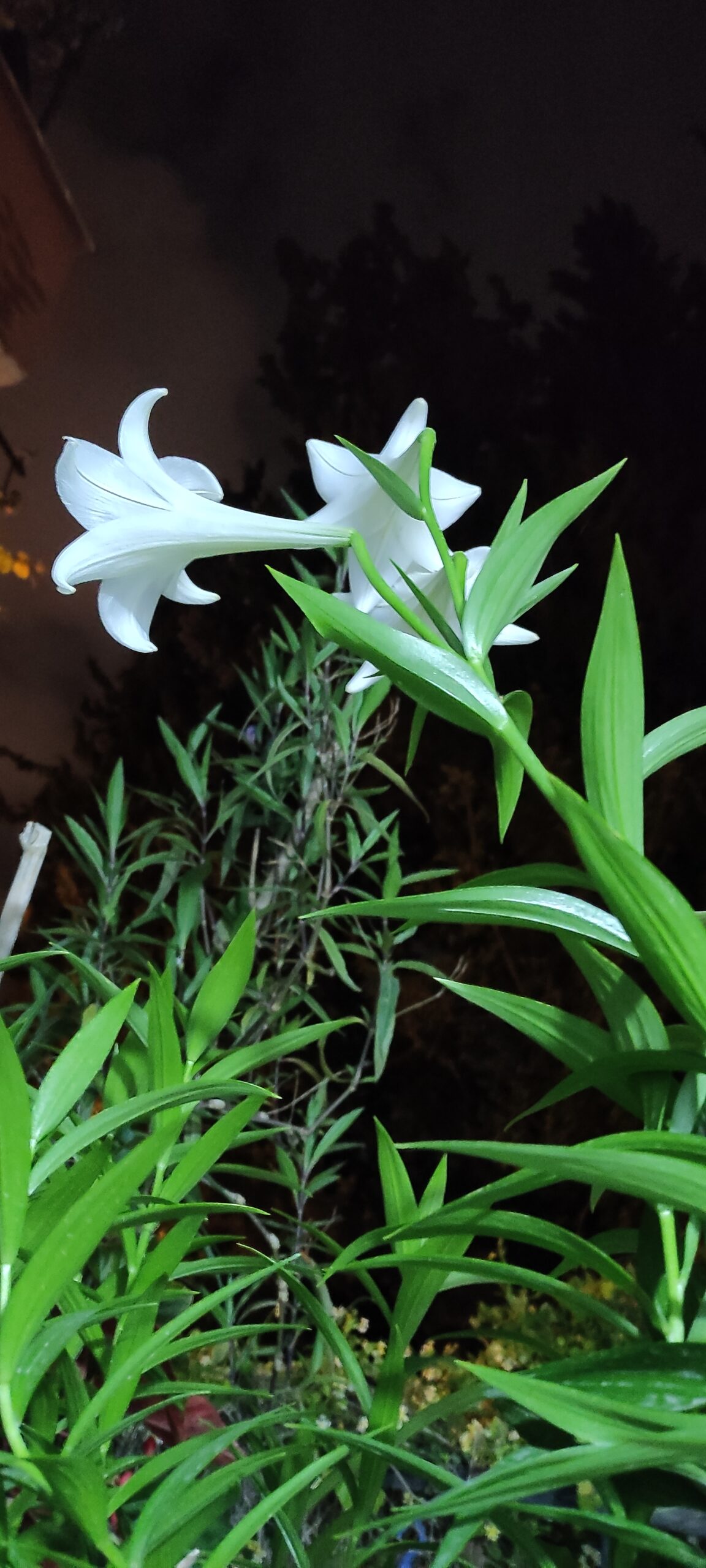 Yeni bir şey öğrenmek üzerine