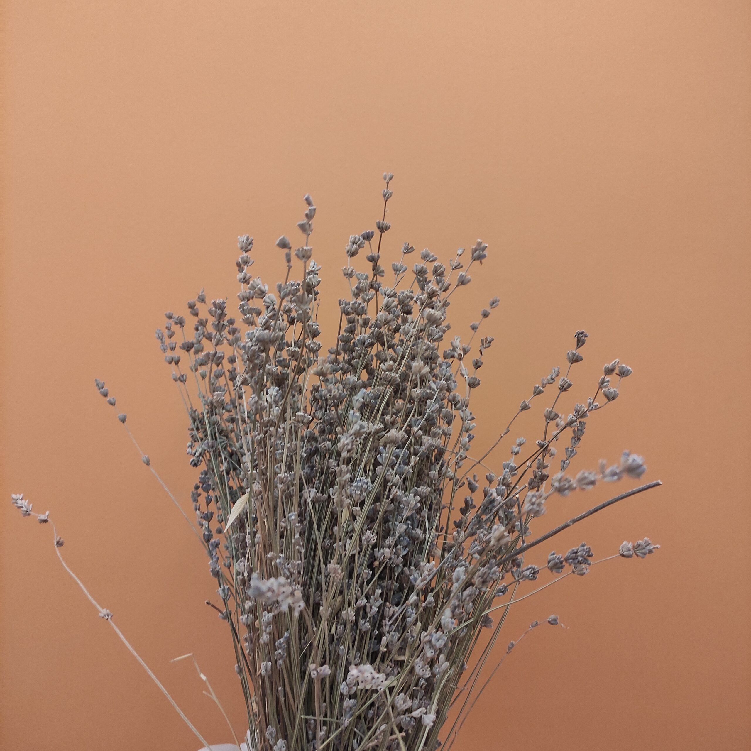 İçi boş dışı gürültülü