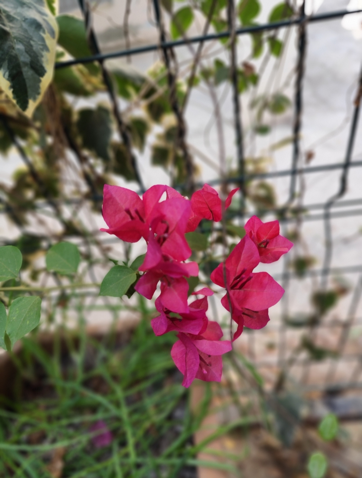 Niye bunu yapamıyorum!