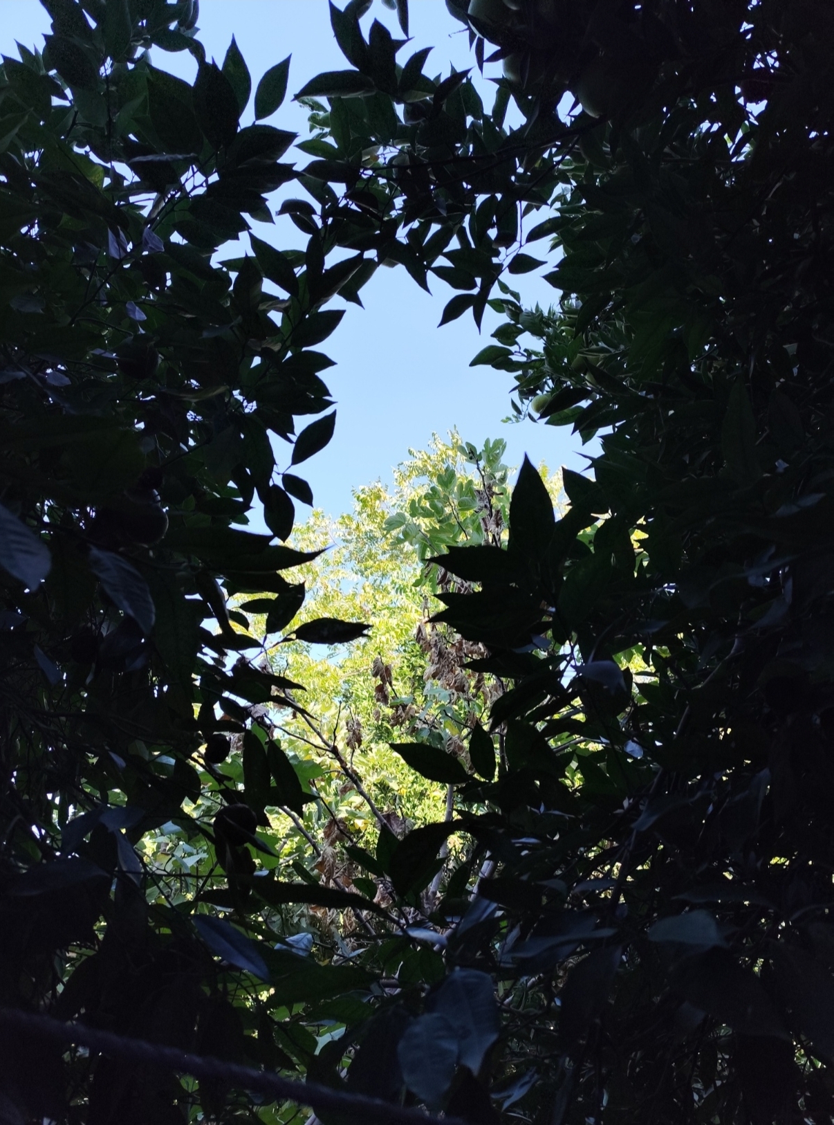 Çocuklarda ölüm korkusu