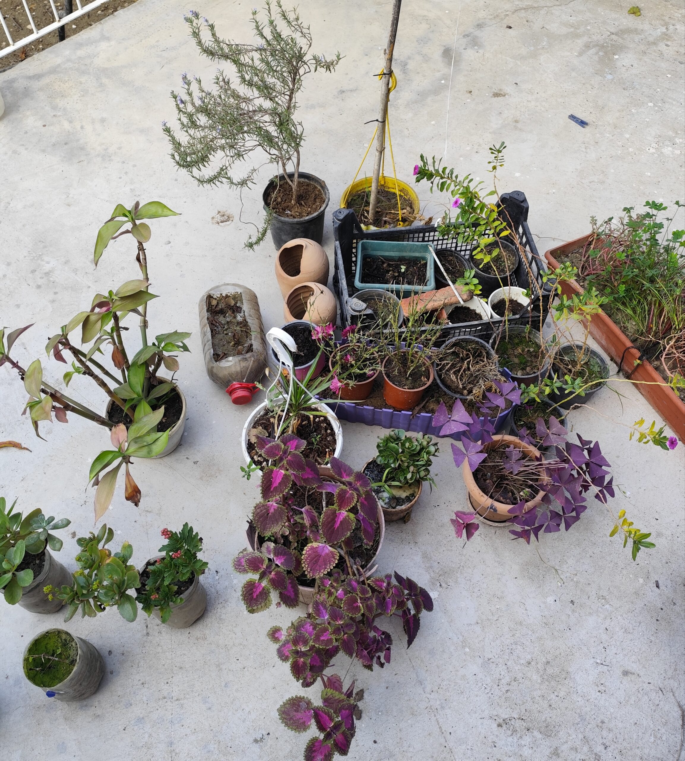 Yeni yıl Eski ben !