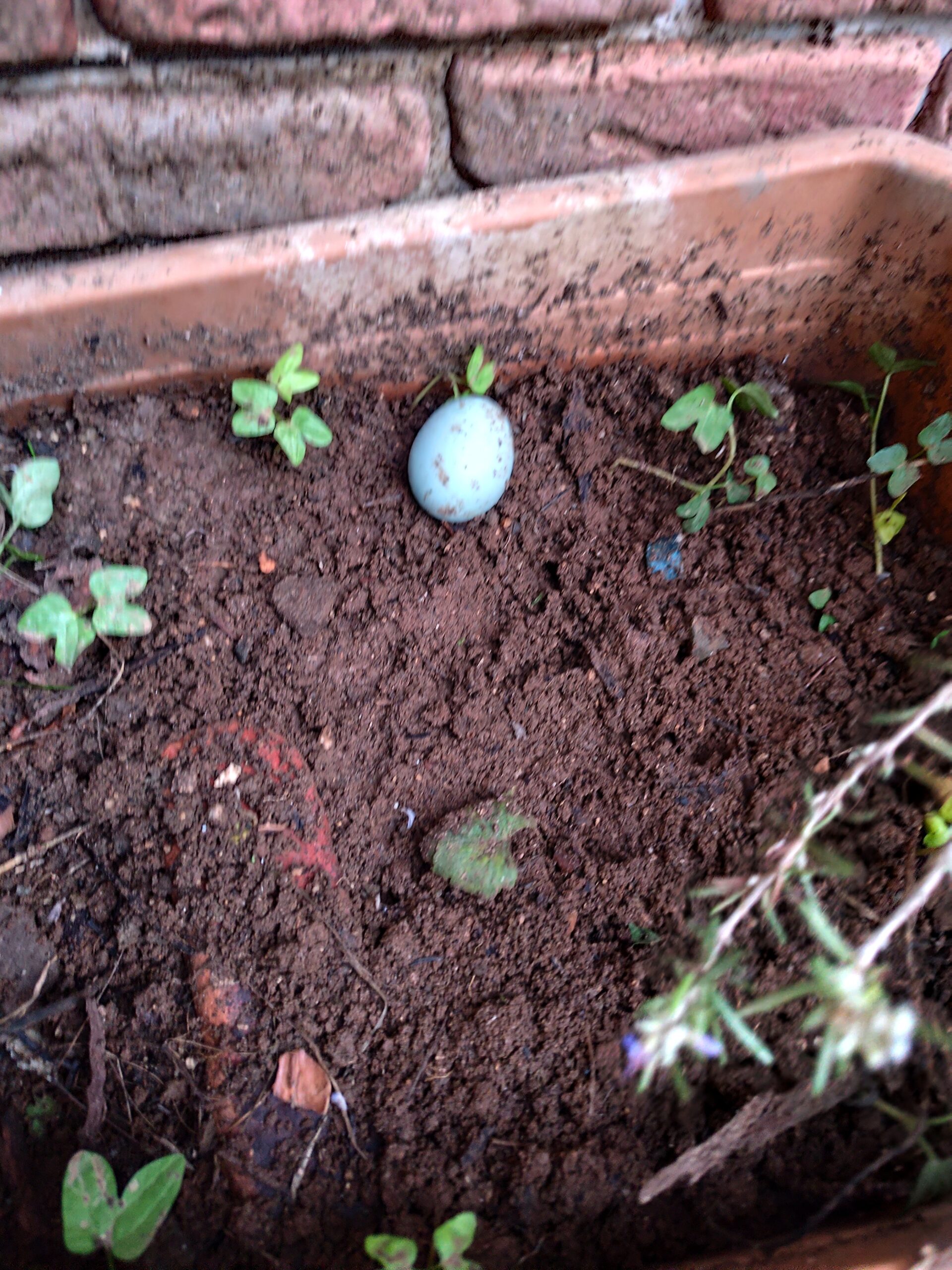 Sınırlar neden önemlidir?